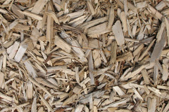 biomass boilers Gardie